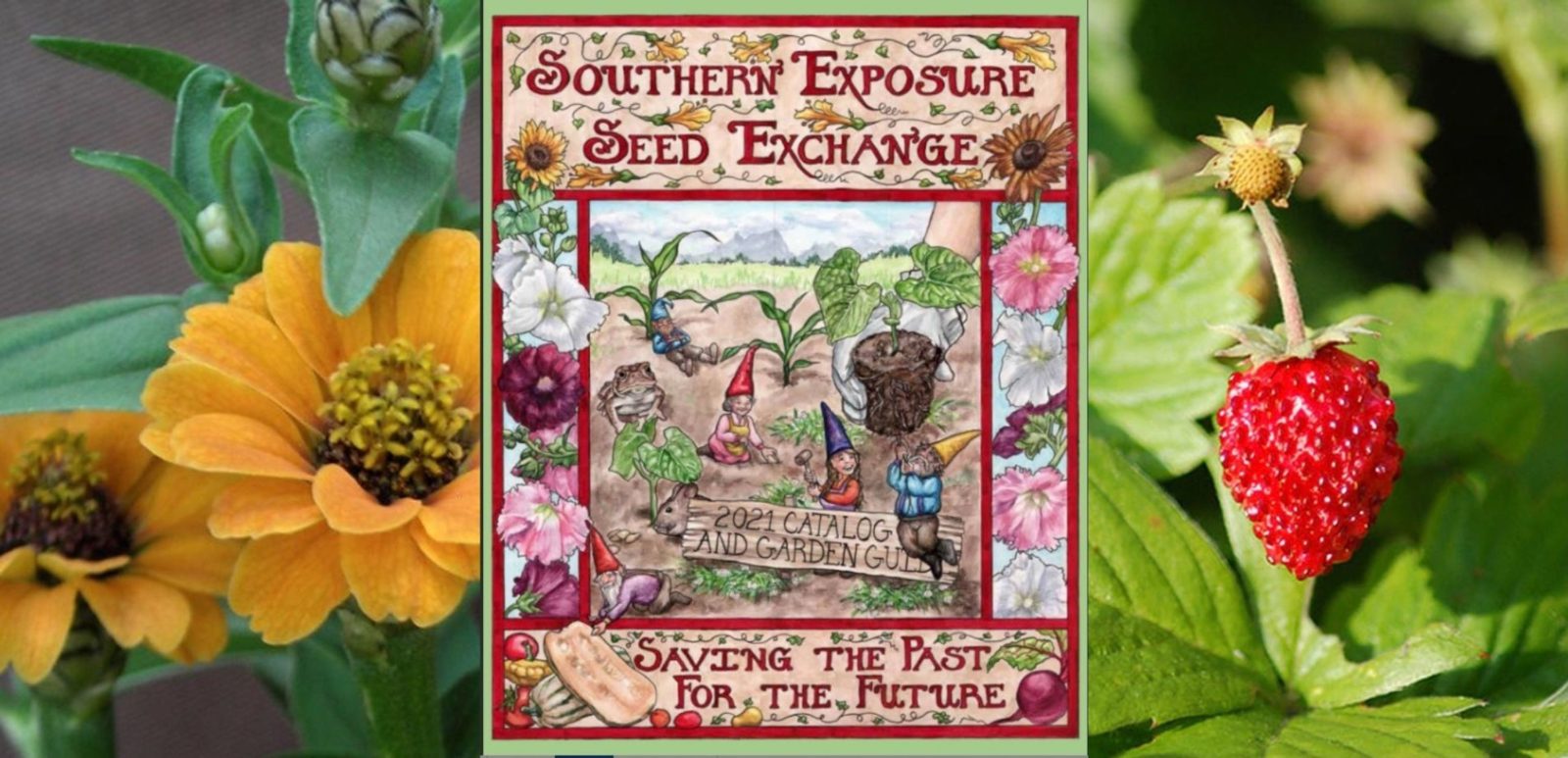 Seed Picks for Your Southern Garden Garden & Gun