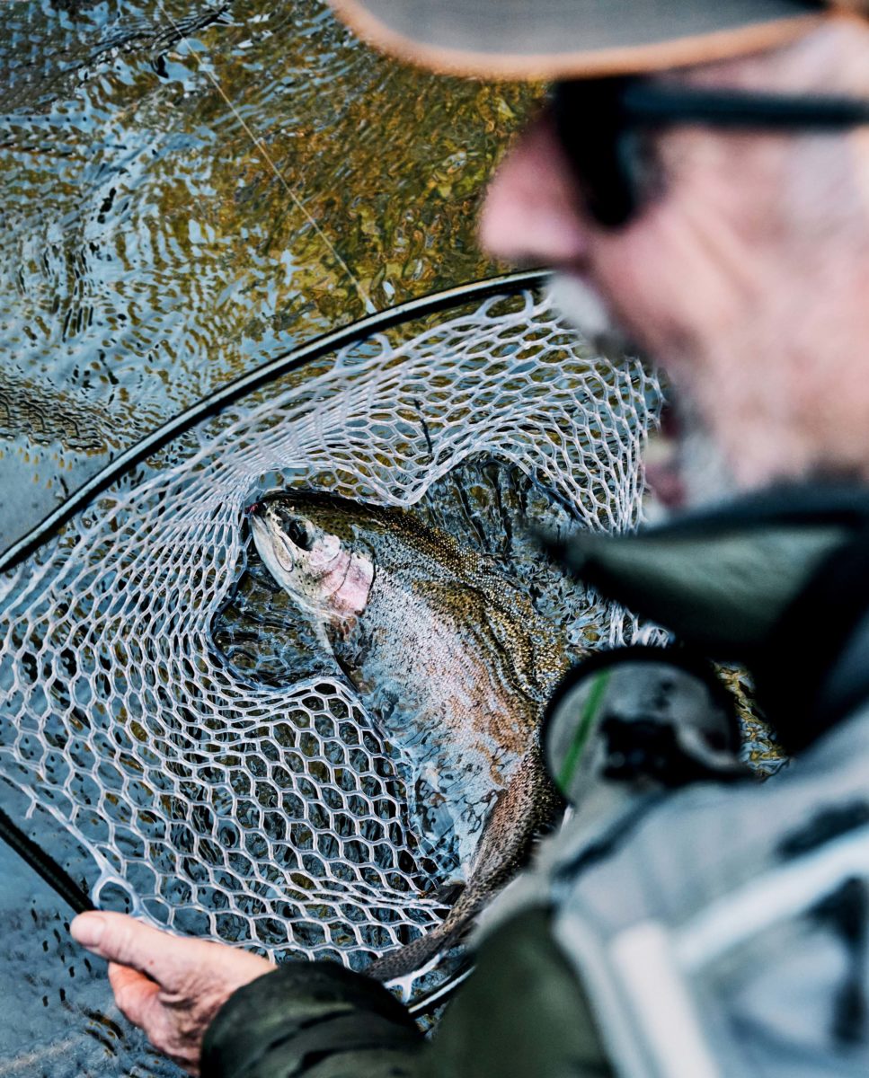 Searching for Monster Trout on Georgia's Soque River – Garden & Gun - Vimarsana News