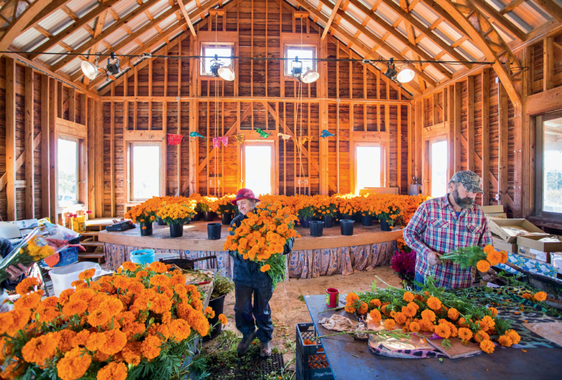 Ceremony garden shop in Wimberley - Digging