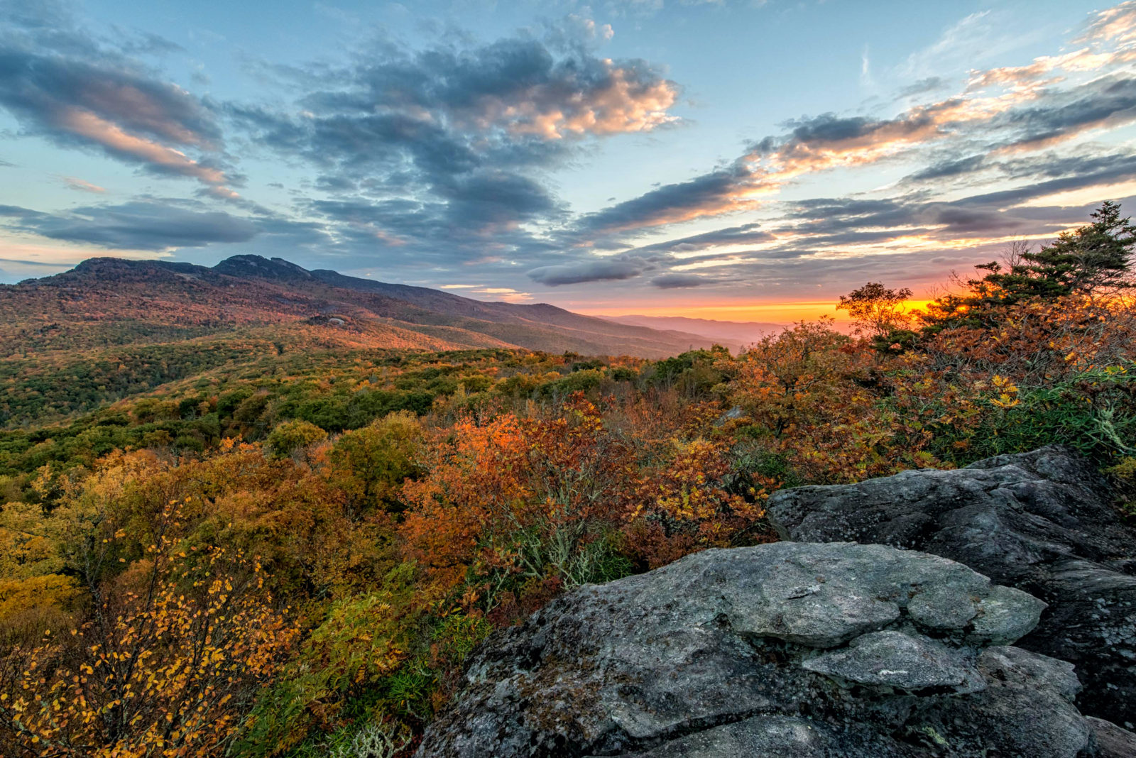 Fall Leaf Forecast: Expect A Colorful Show In The South – Garden & Gun