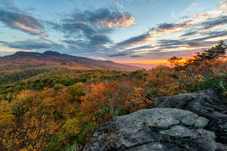 Fall Leaf Forecast Virginia