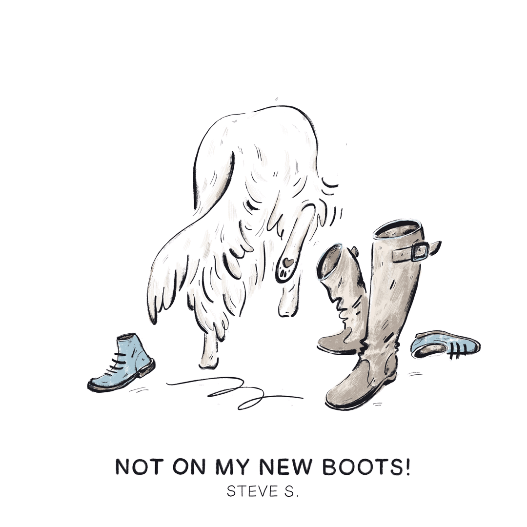Not on my new boots! —Steve S.
