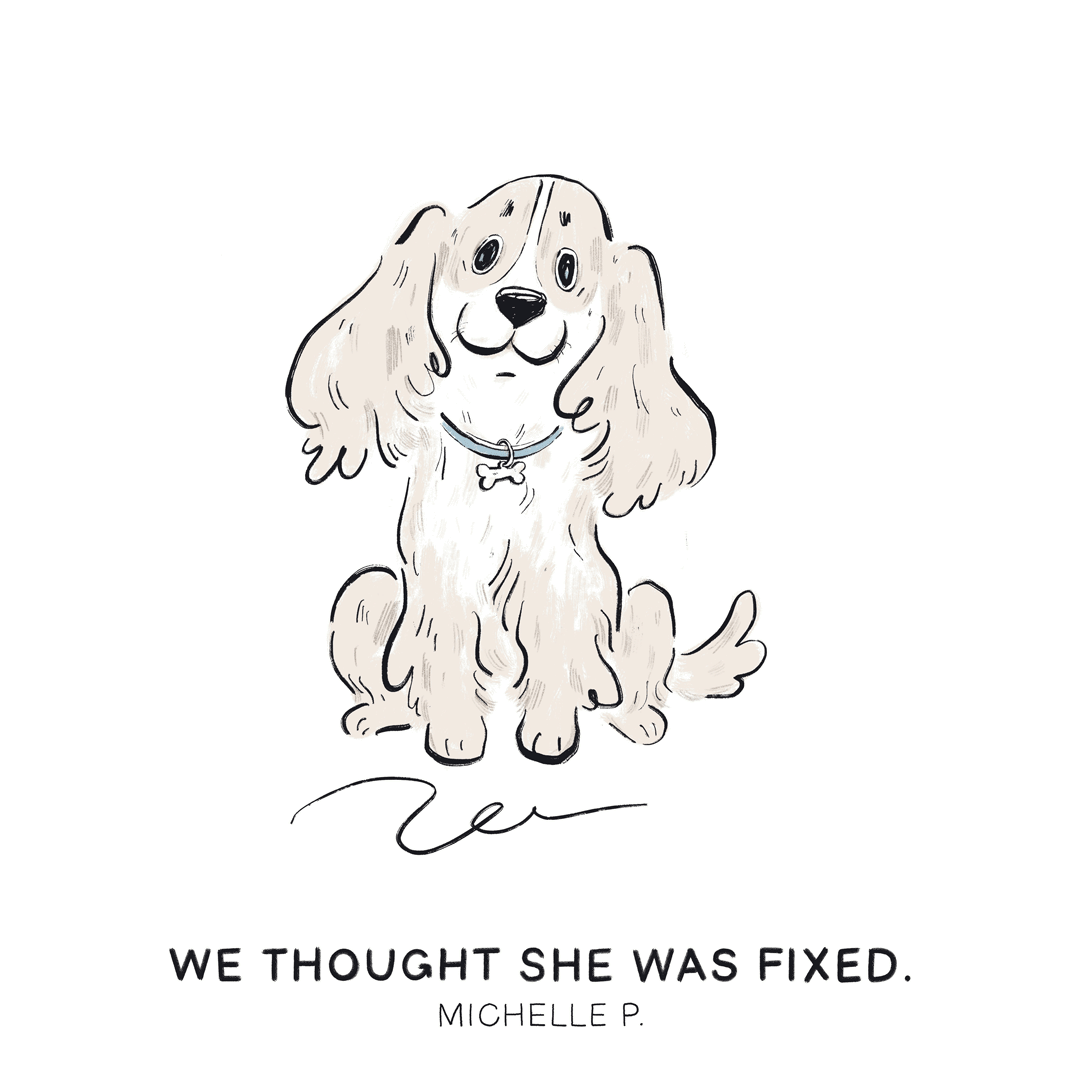 We thought she was fixed. —Michelle P.