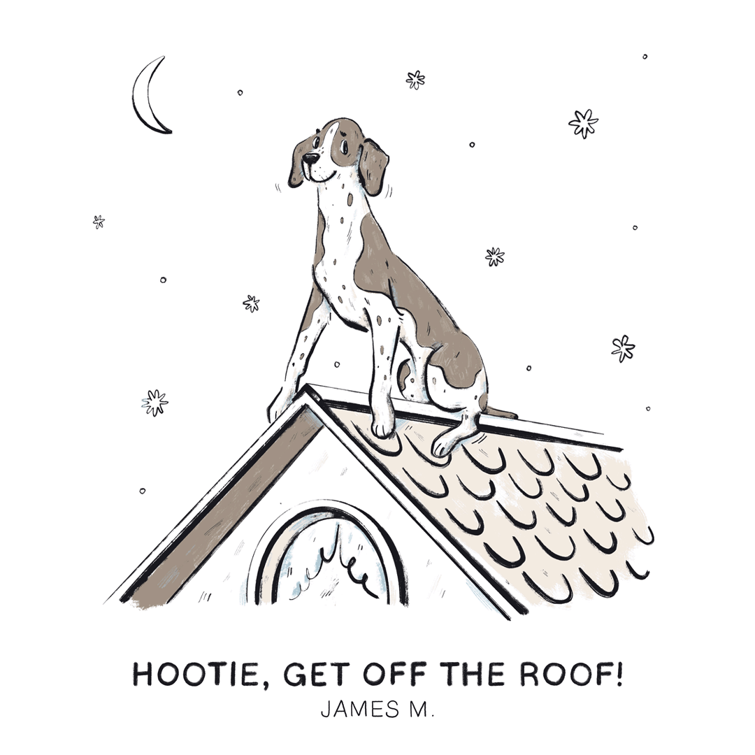 Hootie, get off the roof! —James M. 