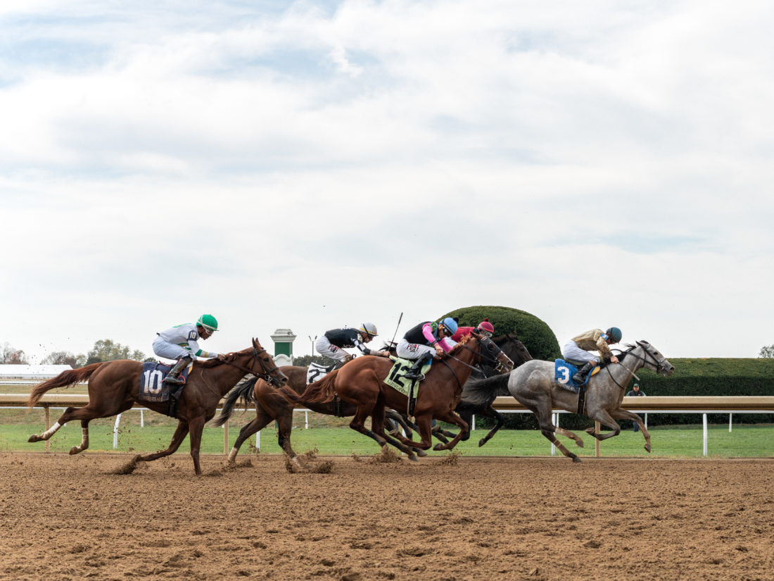 Following the brunch, guests are treated to an exclusive view of the afternoon races.