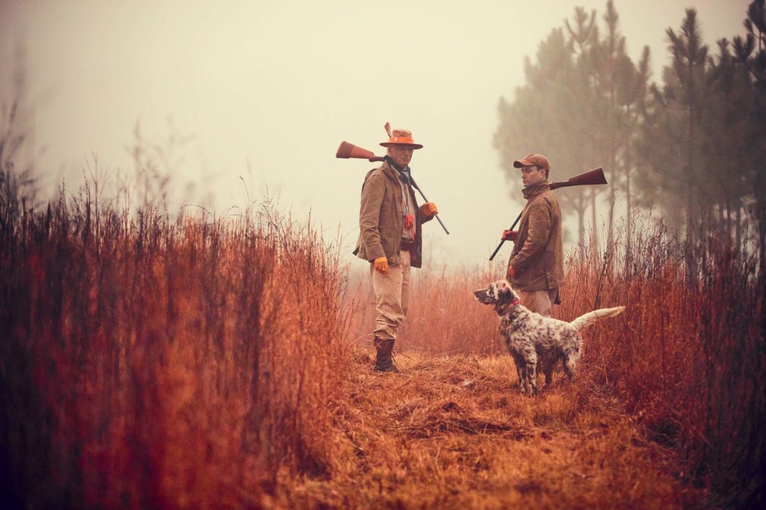 quail hunt