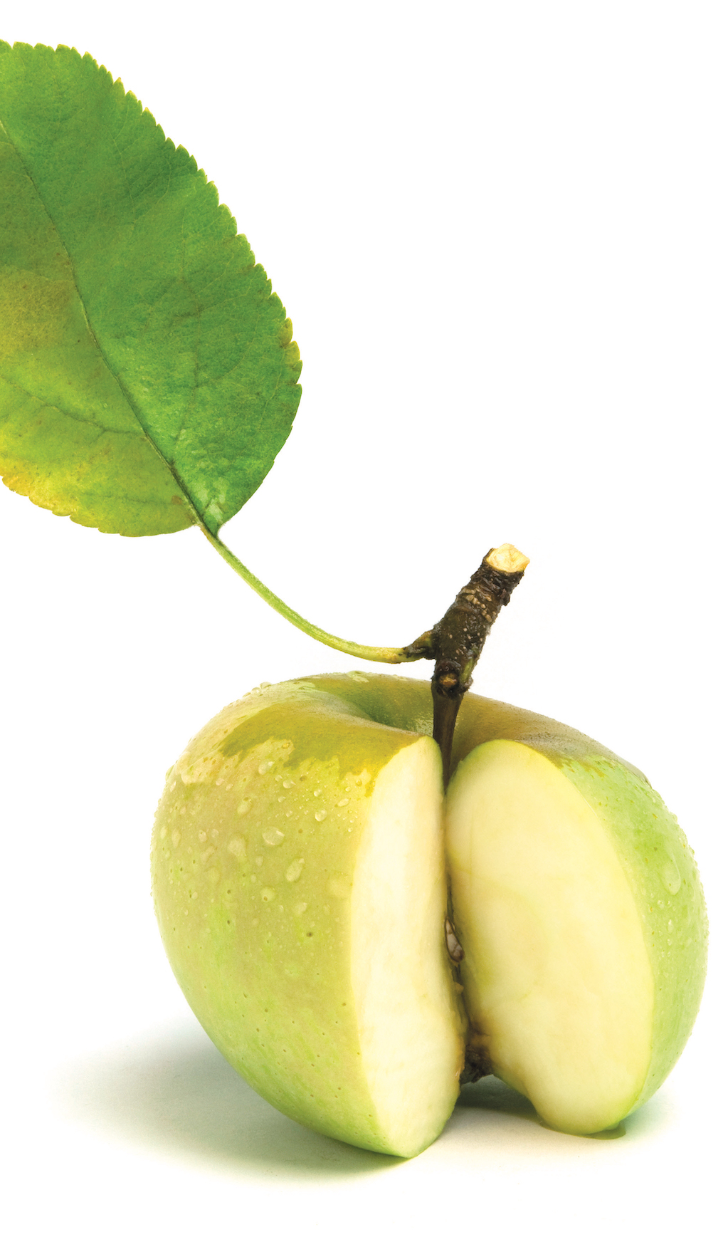 Fall’s Sweetest Prize Albemarle Pippins Garden & Gun