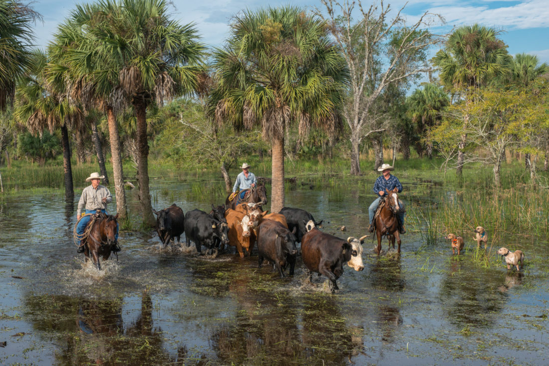 Florida spends millions on 17,000 acres to expand wildlife corridor