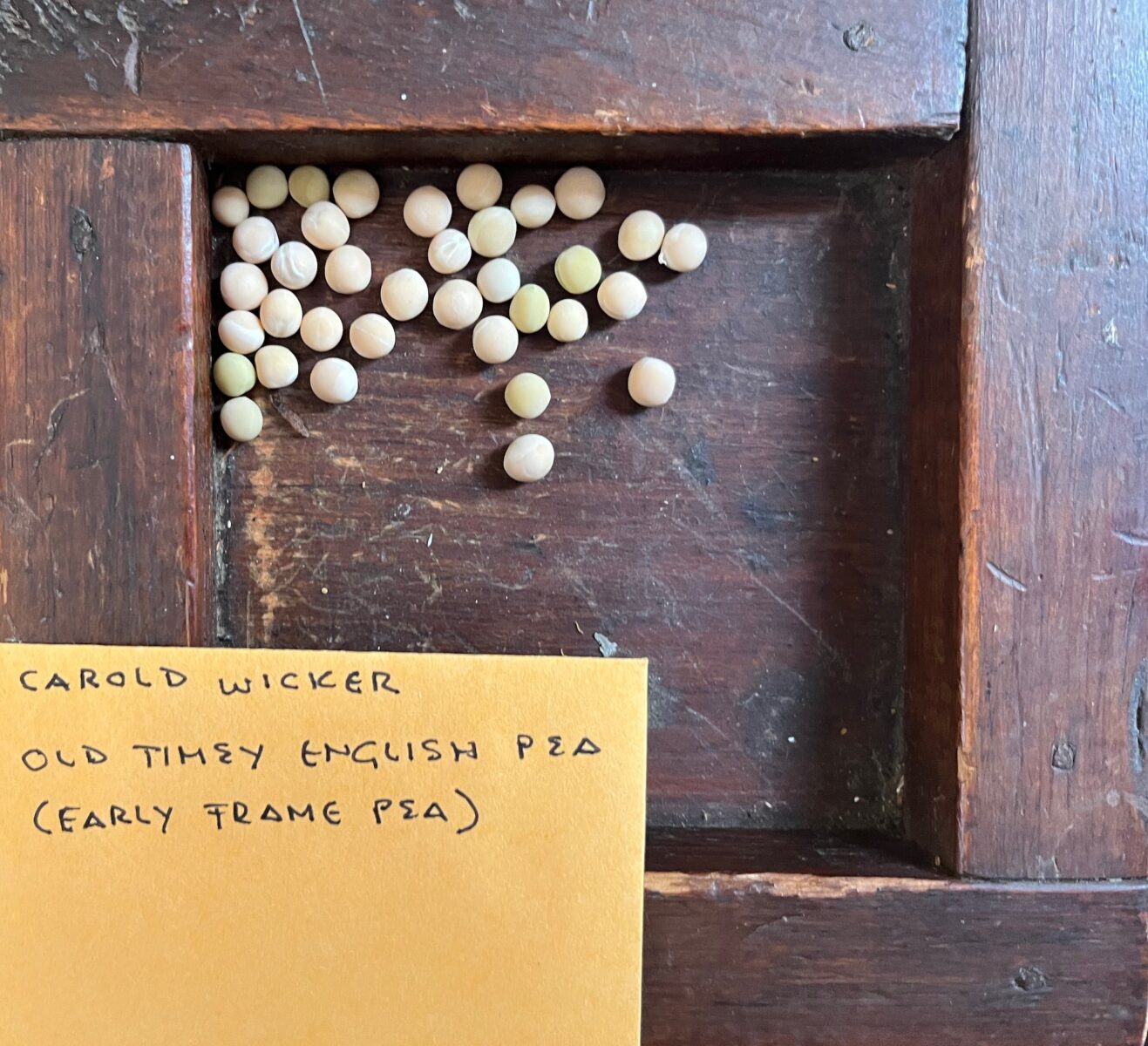 Inside a Rare Cache of Heirloom Seeds – Garden & Gun