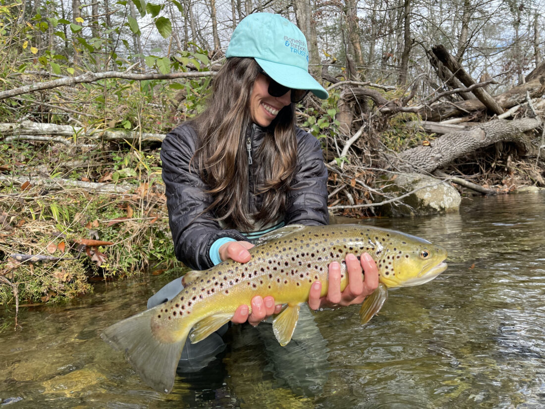 Stream Trout Fishing in America music