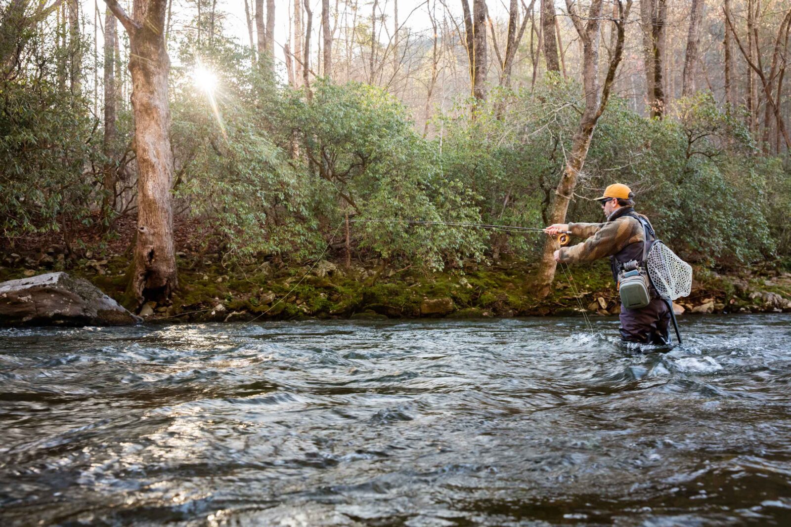 Wilson Creek is among North Carolina's best trout streams