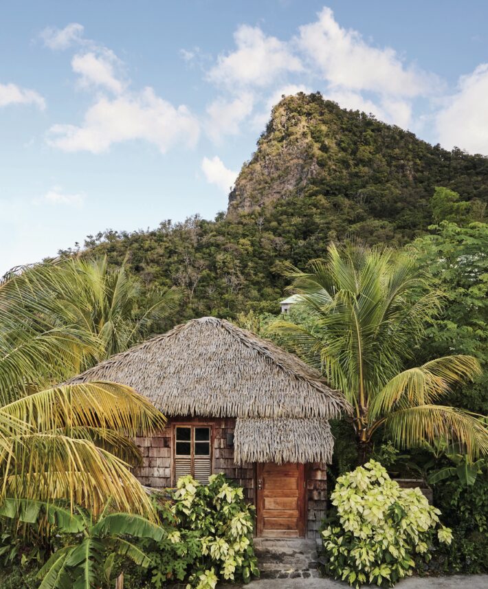 Watching Lightning Bugs at Congaree National Park Garden & Gun