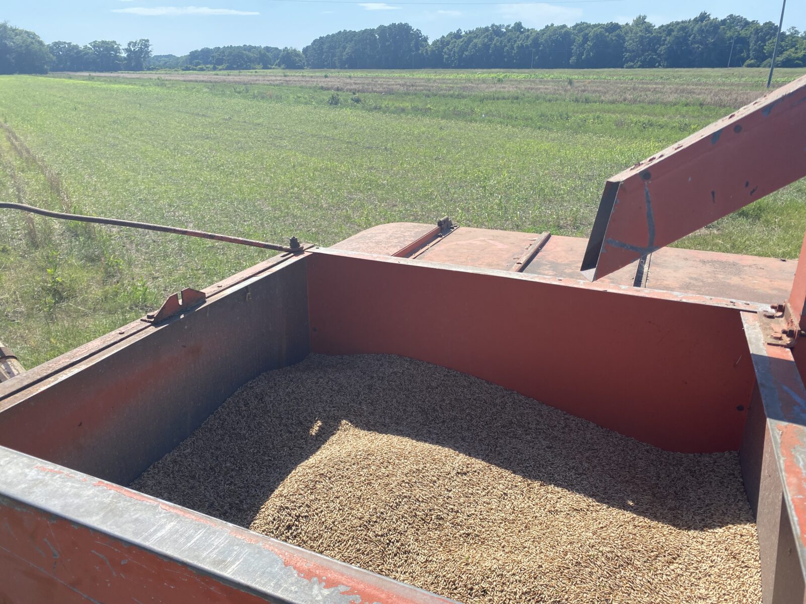 Southern Food Buff Matt Lee Puts on His Farmer Hat – Garden & Gun