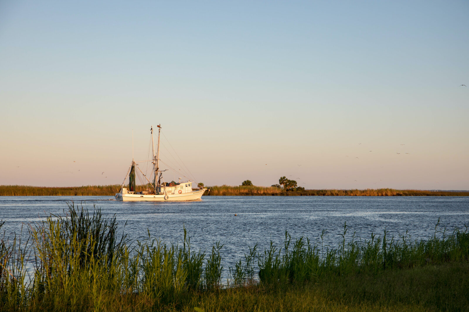 Apalachicola Oyster Rehabilitation Is Slow Growing Garden & Gun