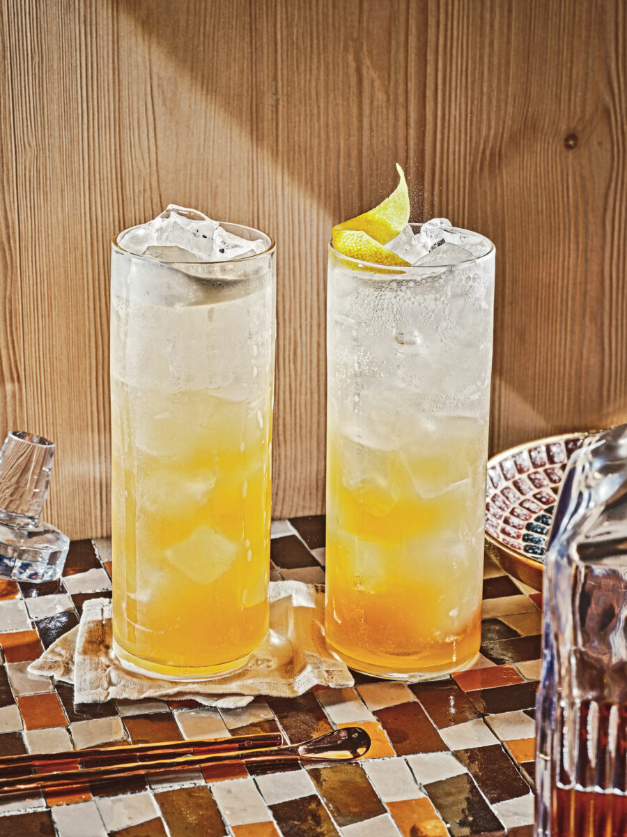 A Chatbot Mixes a Southern Cocktail—With Surprising Results – Garden & Gun