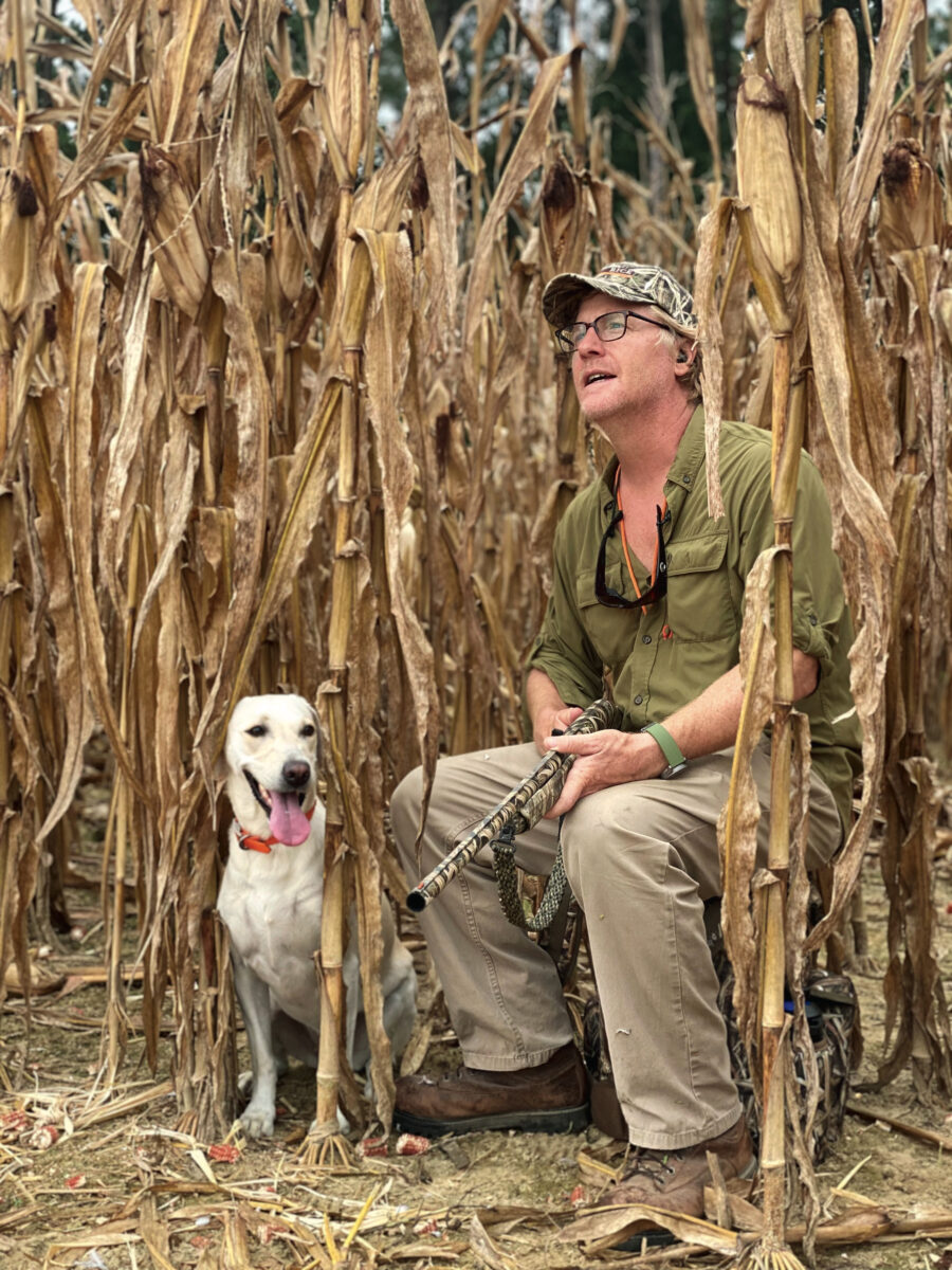 Stay Cool And Stylish Camo Baseball For Your Dog This Summer - Pet