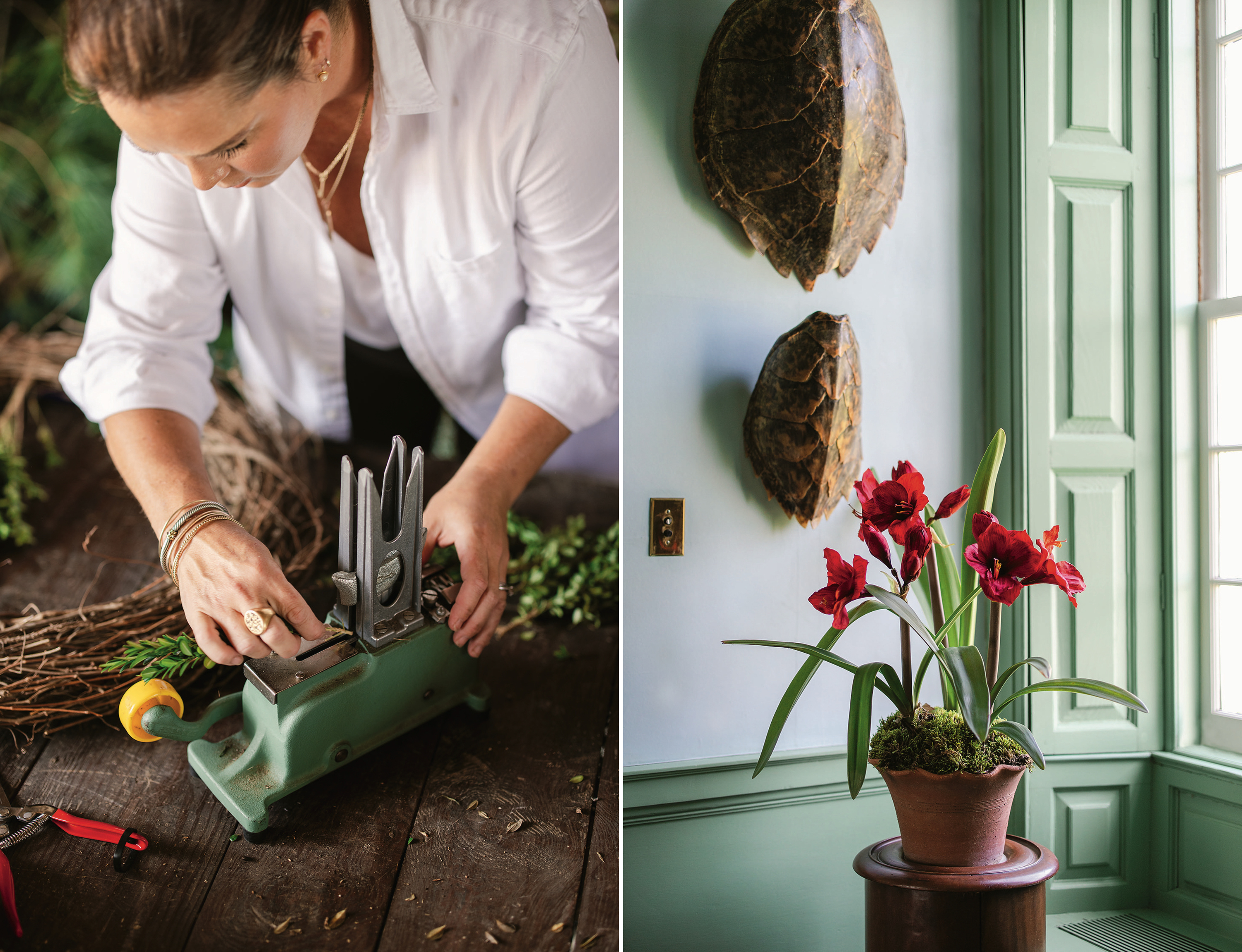 A collage of two images. Left: A woman presses a green vintage sewing machine on boxwood and cedar sprigs on a wood table. Right: A red flower in a wavy-rimmed clay pot in a green room. Turtle shells hang on the wall.