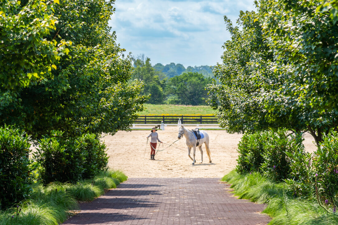 A garden path leads to a ring where a woman lunges a white horse with a saddle. Trees flank the path