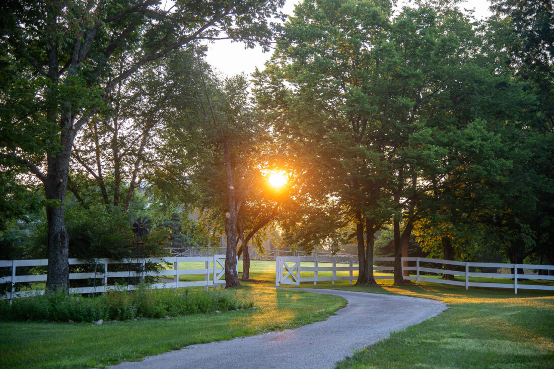 The sun shines through the trees over a pasture with a white gated fence