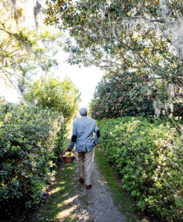 A man walks along a pathway in a garden