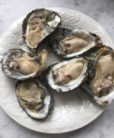 Oysters on the half-shell on a white plate