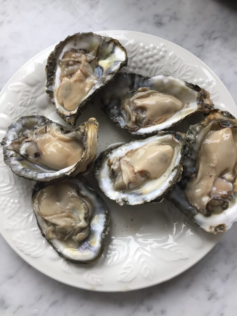 Oysters on the half-shell on a white plate