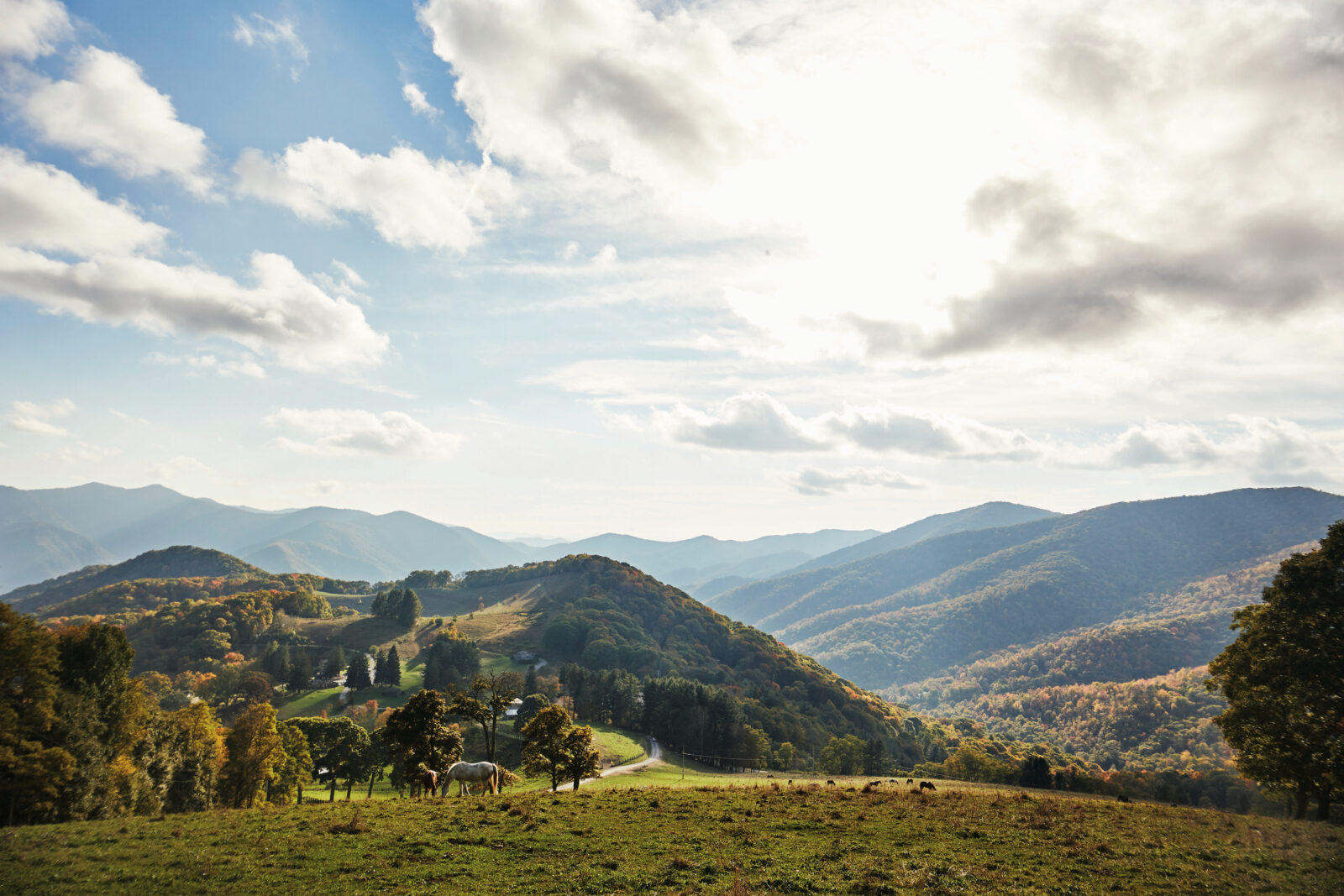 A landscape of mountains with a field and horses in the foreground