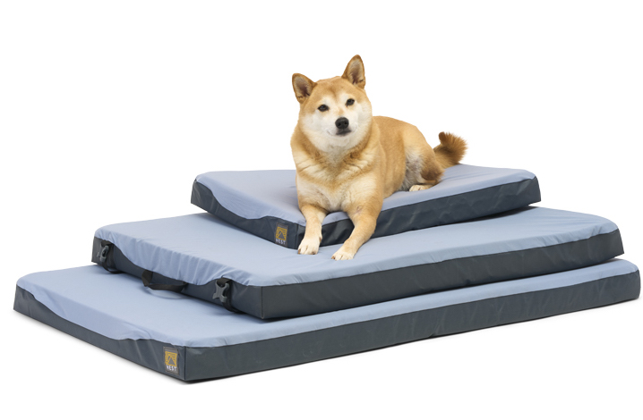 A yellow dog on a stack of dog beds
