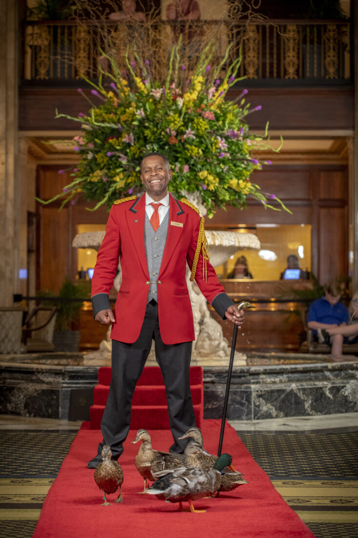 A man in a red jacket stands with a cane on a red carpet with several ducks at his feet