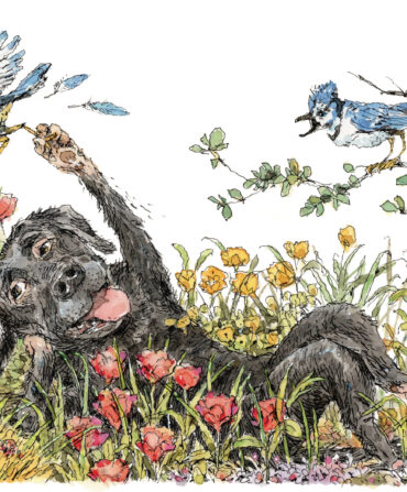 An illustration of a black dog lounging in flowers with blue jays above