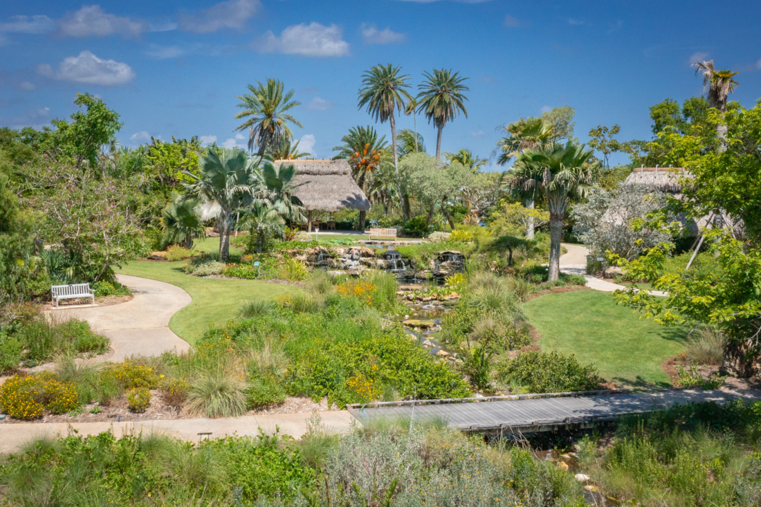 A landscape of lush greenery featuring tall grasses, flowers, palm trees, a manmade waterfall, and walking paths.