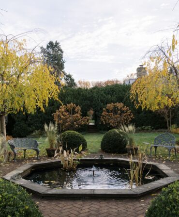 A fountain in a garden with yellow trees and bushes