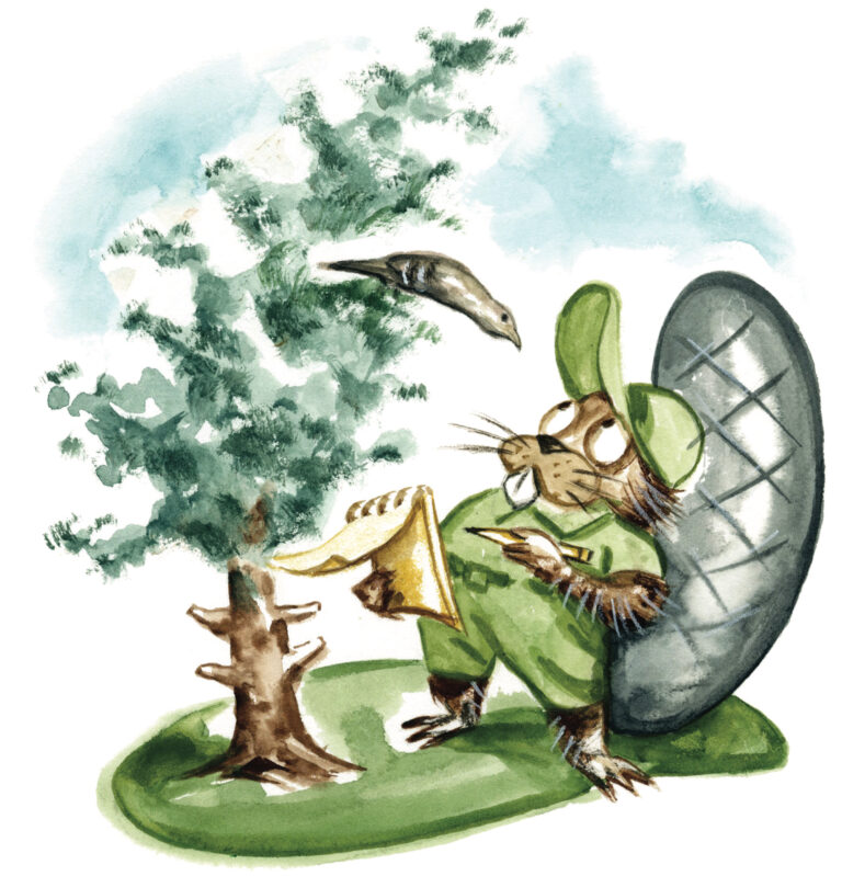 An illustration of a beaver studying a tree and a bird with a notebad in its hand