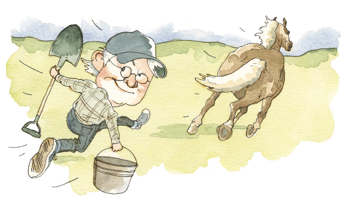 A watercolor illustration of a man with a shovel and bucket chasing a brown horse in a field