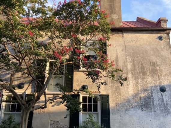 The side of a stone house with large windows and a crepe myrtle in bloom