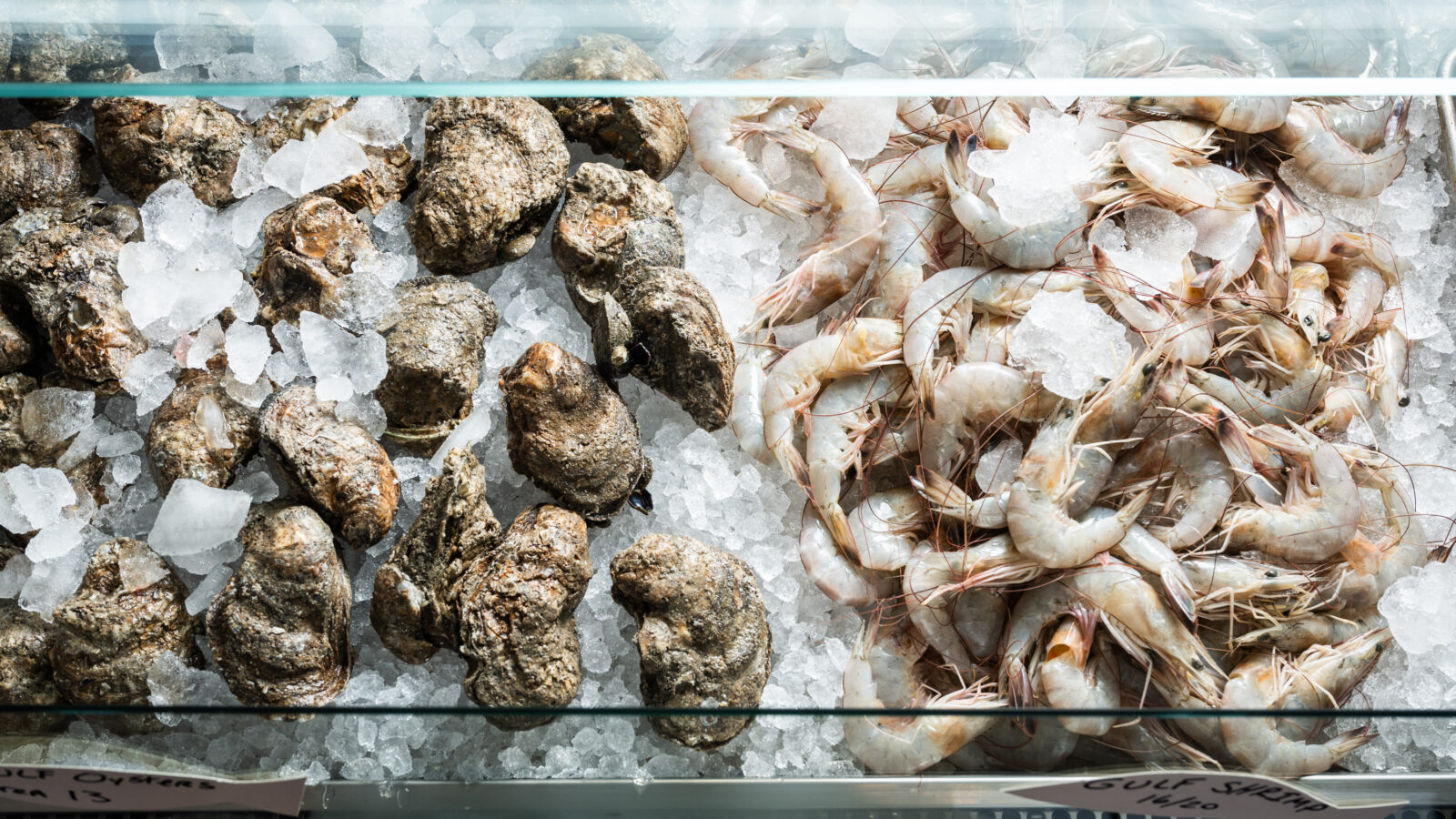 A display of fresh shrimp and oysters over ice.