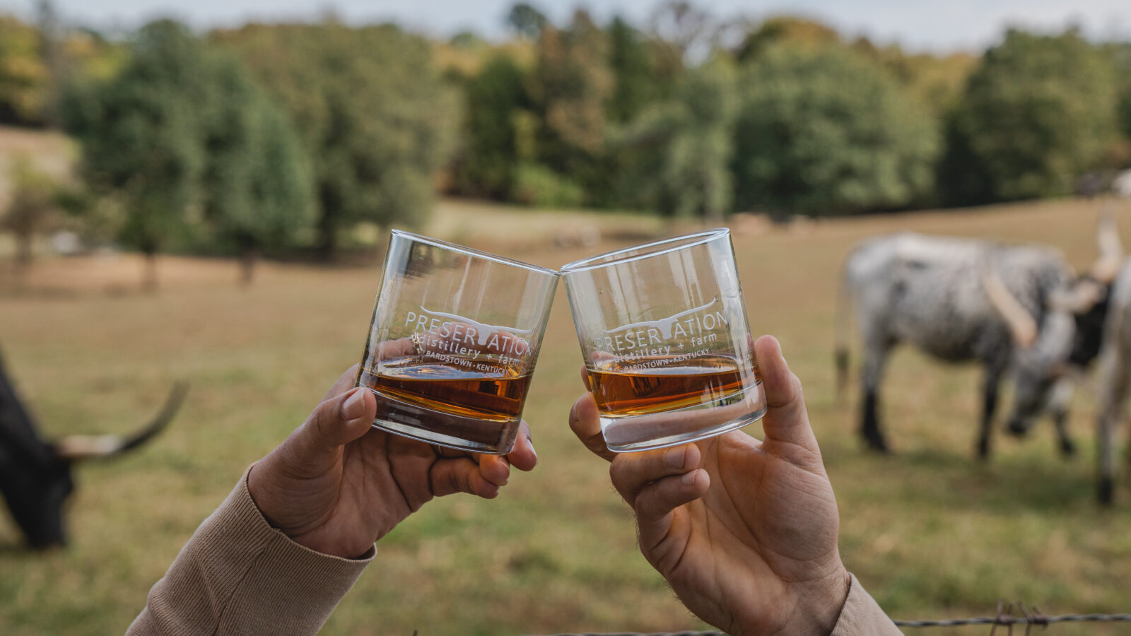 Two people cheersing glasses of bourbon in a field with bulls grazing behind them