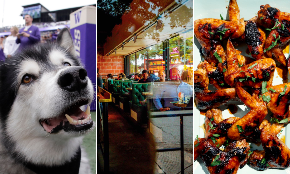 A triptych of three images: a husky; diners in a restaurant window; a plate of saucy wings