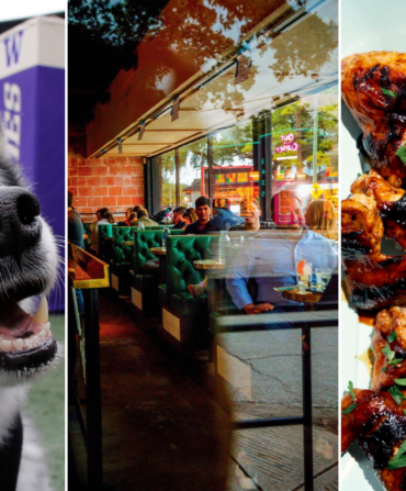 A triptych of three images: a husky; diners in a restaurant window; a plate of saucy wings