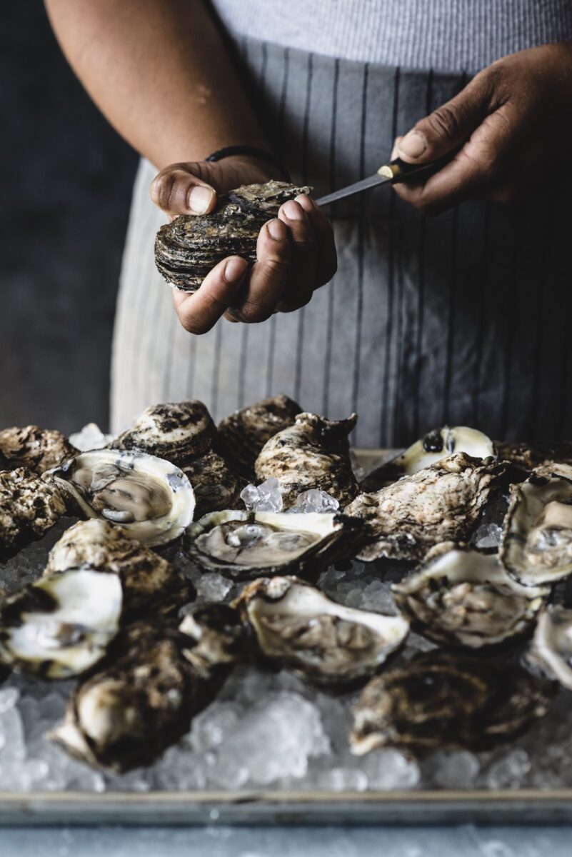 All Your Oyster Questions, Answered Garden & Gun