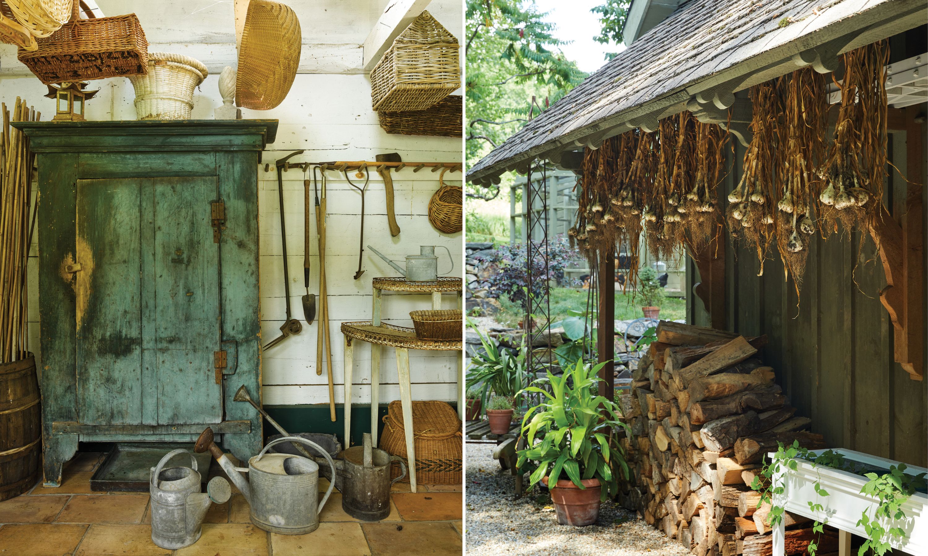 Inside a shed with wicker baskets and a watering can; A garden shed with garlic, freshly harvested, hanging from the roof.