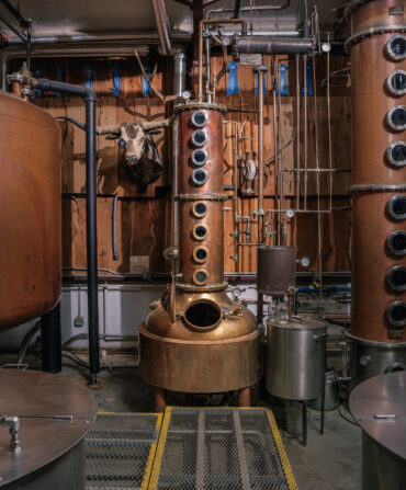 A copper still in a distillery. Next to the still, there is a taxidermy longhorn head.
