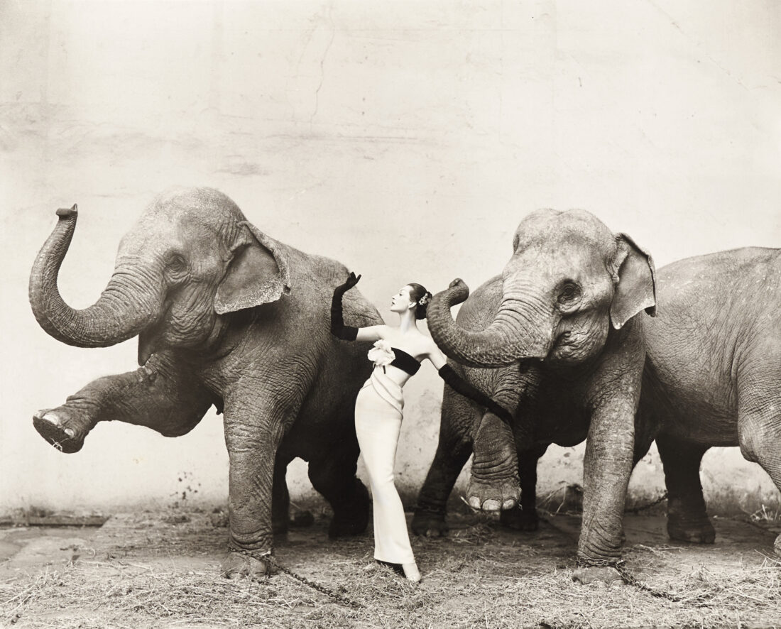 A vintage photo of a woman in a dress posing with two elephants