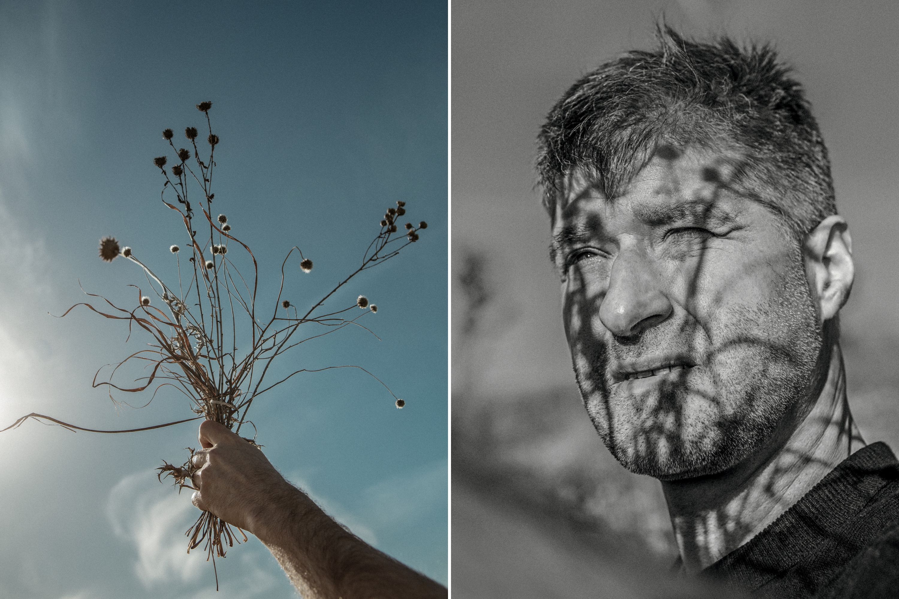 A collage of two images: a hand holds stems of grasses and flowers in one hand against the sky; a shadow of the stems falls on a man's face in a black and white photo.
