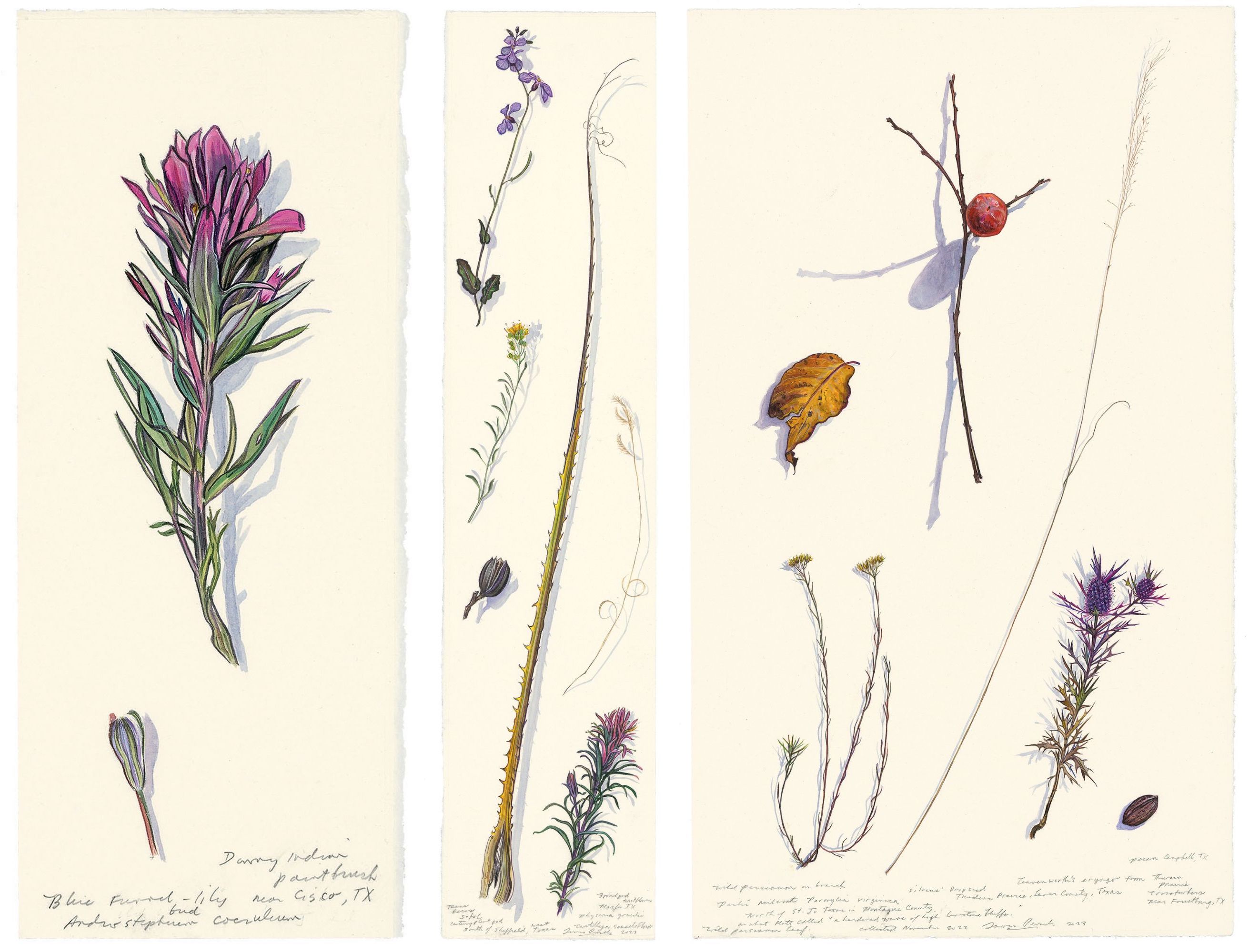 A series of three paintings on paper with flowers, grasses, and leaves in extreme detail