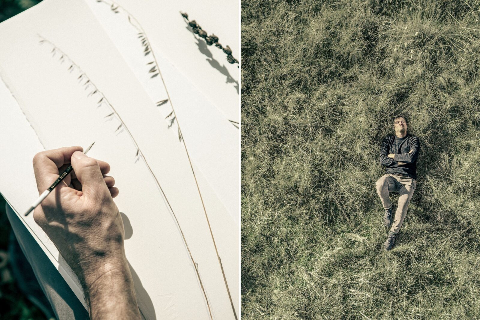 A collage of two images: A close up of a hand working on a watercolor of thin grasses; a man lays in a grassy meadow.