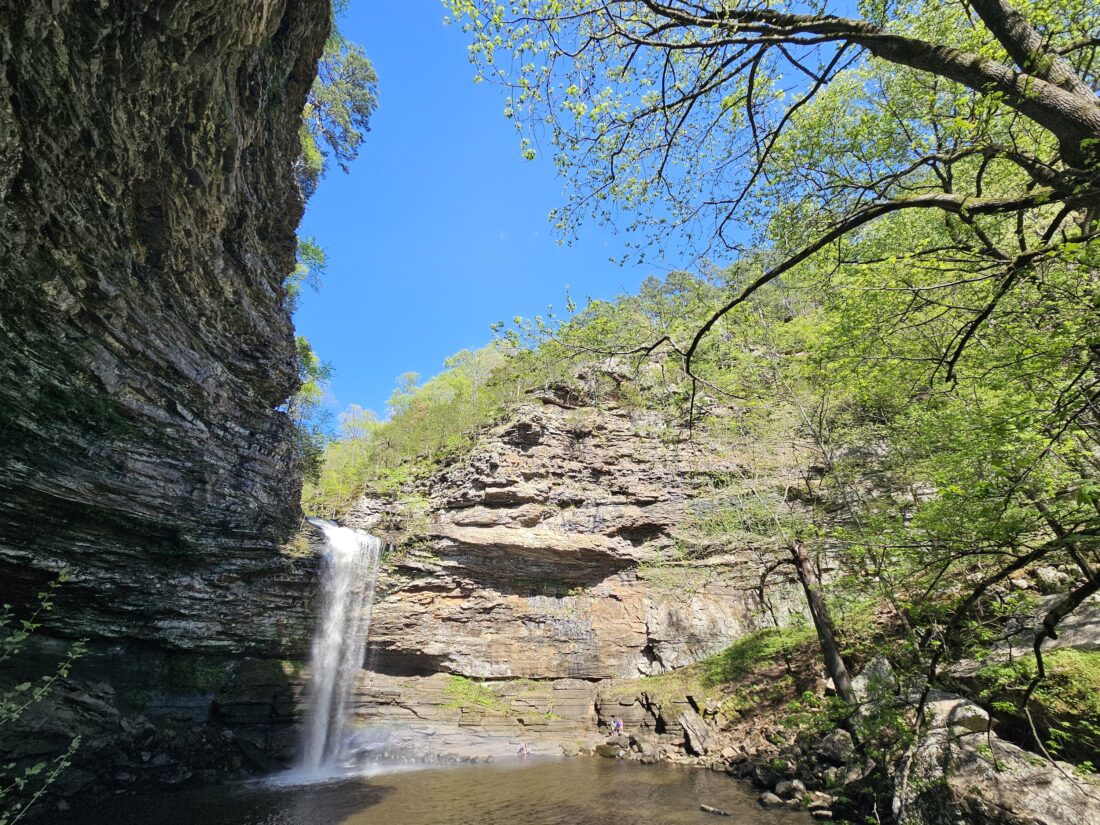 A waterfall with a rocky outcrop, surrounded by trees