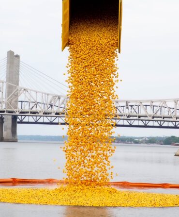 A crane dumps yellow rubber ducks by the thousand into a river