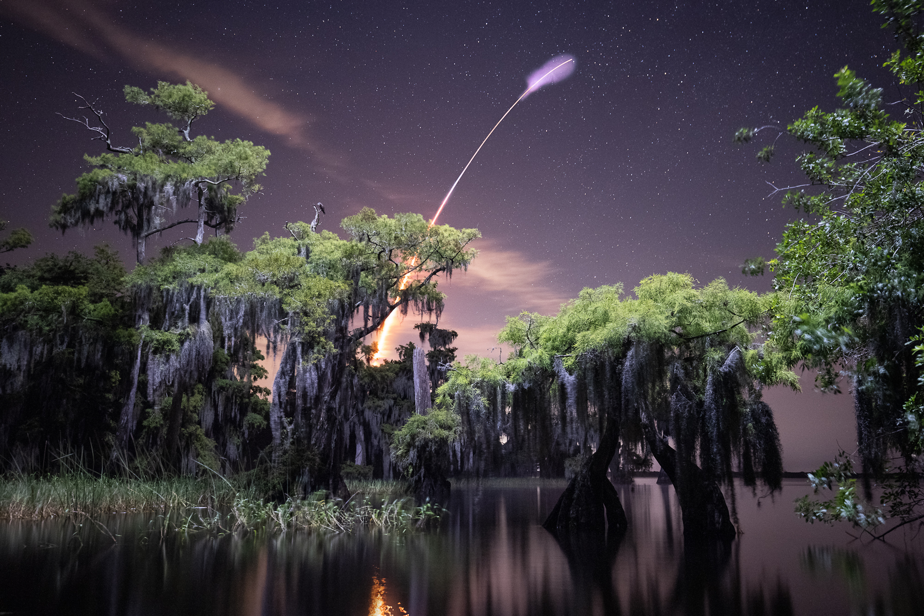 A Space X rocket launches above a cypress swamp