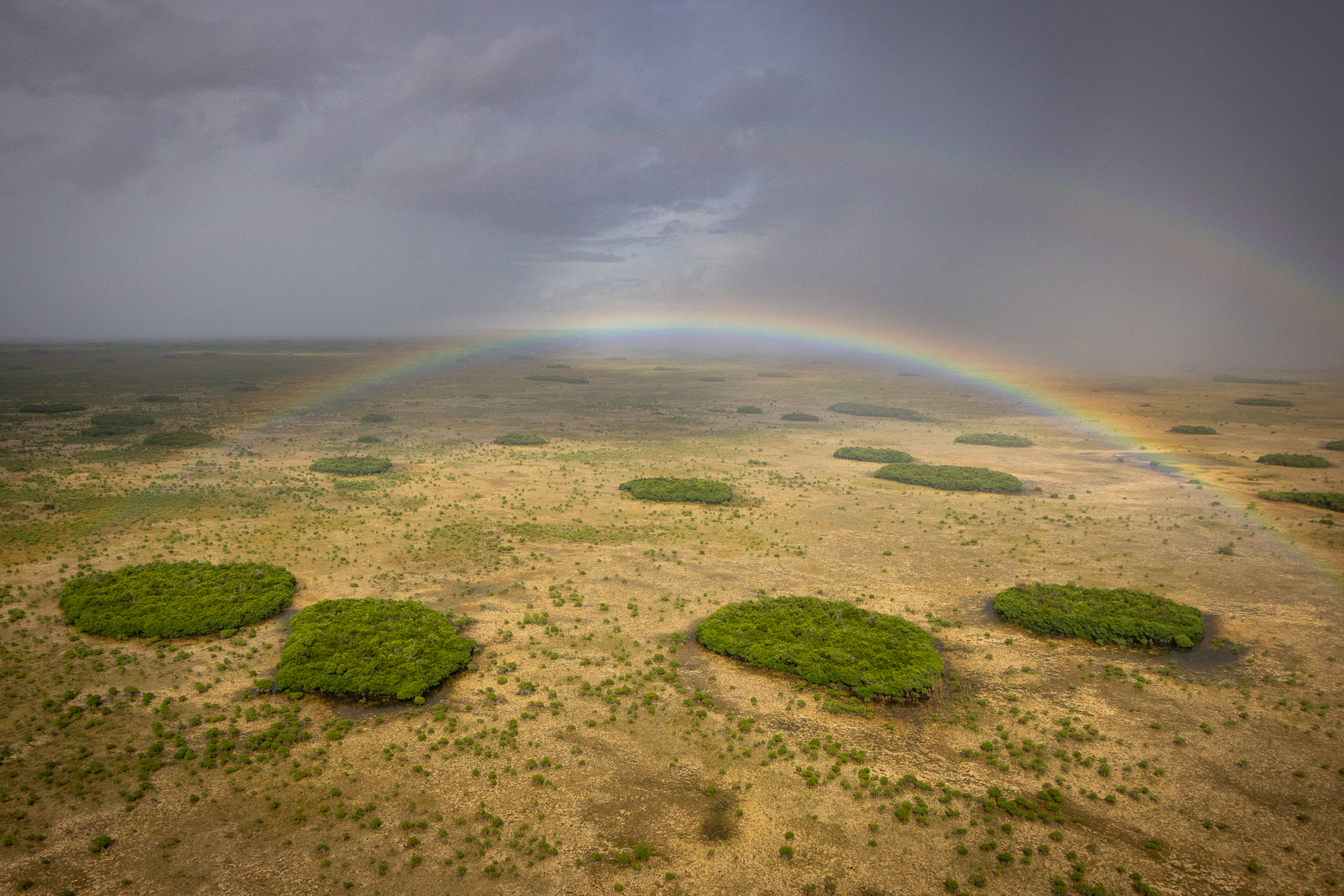 rainbows arch over this nutrient-low swathe of the Everglades